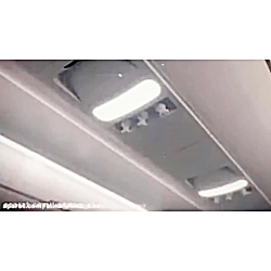 کلیپ گربه سیاه و دخترکفشدوزکی...