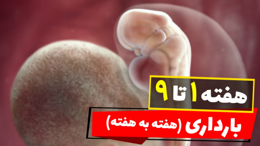 هفته 1 تا 9 بارداری فرزانه آقایانی | کارشناس مامایی | مشاور شیردهی