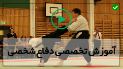 آموزش صفر تا صد دفاع شخصی-دفاع شخصی-( ضربه به صورت با مشت )