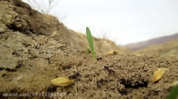 خیلی جالبه حتما ببینید از دست...