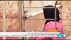 صدور 3 هزار و 600 مجوز مشاغل خانگی در 7 روز صدور 3 هزار و 600 مجوز مشاغل خانگی در 7 روز