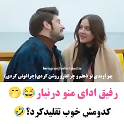 ستاره شمالى