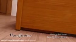 دختر کفشدوزکی و گربه ی سیاه