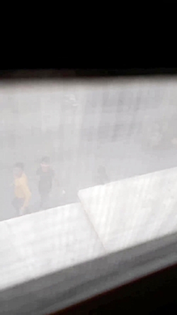 چند بچه ی بی ادب به اسم های صب...