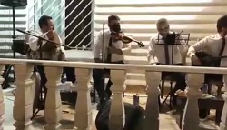 گروه موزیک شاد ۰۹۱۲۶۱۷۳۴۶۱ بهترین گروه موسیقی عروسی
