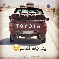 شوتی سوار