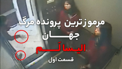 مرگ مشکوک و عجیب الیسا لم ، مر...