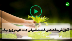 فیلم رایگان آموزش کشت صیفی جات...
