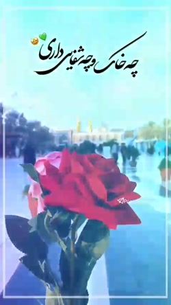 استوری تبریک میلاد امام حسین (عجب کربوبلایی داری) - سیدرضا نریمانی