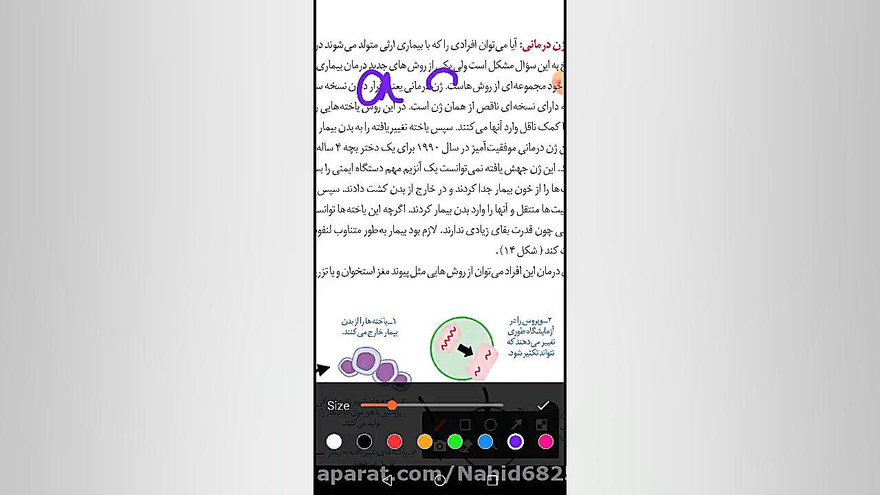 ژن درمانی1 استوری فشفشه‌ای