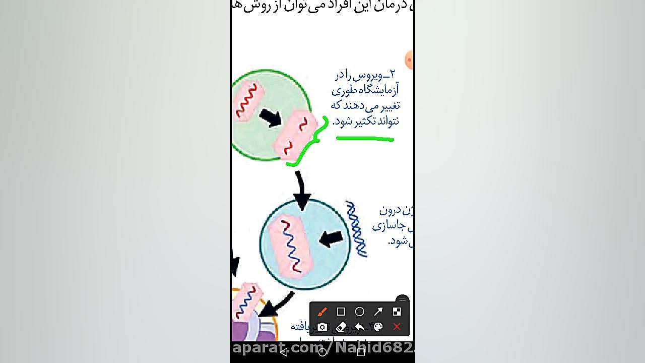 ژن درمانی2 اینسایزینگ