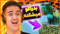 چیزایی که درباره واردن تو ماین...