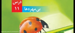 درس 11 علوم  (بی مهره ها )