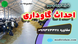راه اندازی واحد گاو شیری در شهرستان شاهرود (مشاوره در واتساپ 3211 373 0919)