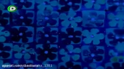 باب اسفنجی دوبله فارسی