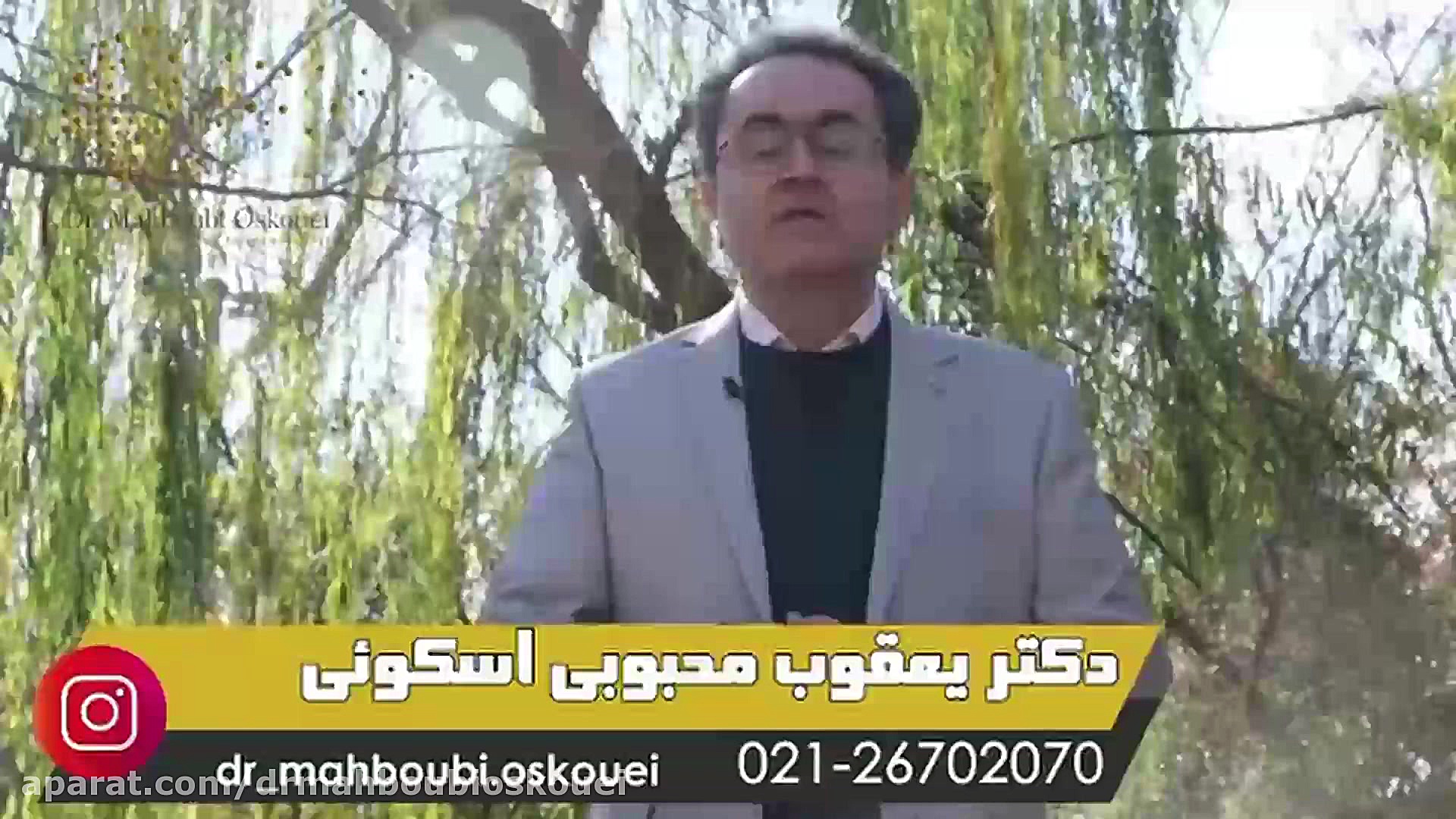 گزش حشرات و نحوه ی درمان آن دکتر یعقوب محبوبی اسکوئی