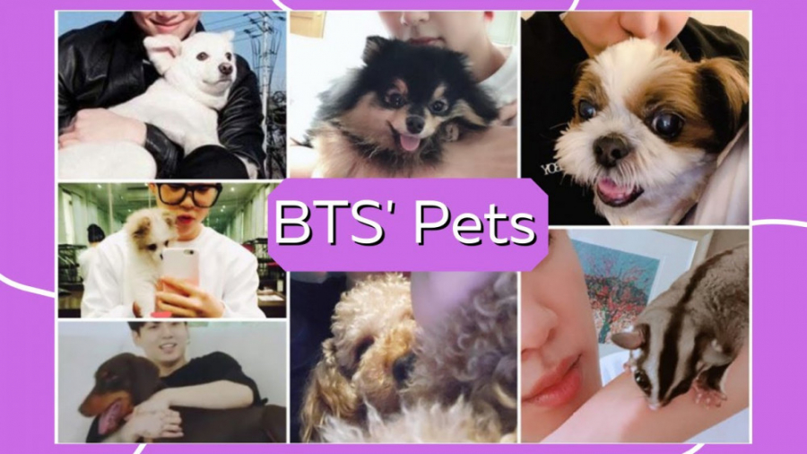 معرفی کامل حیوانات خانگی اعضای بی تی اس || BTS 's Pets زمان662ثانیه
