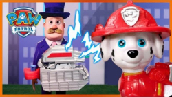 بازی با اسباب بازی سگ های نگهب...