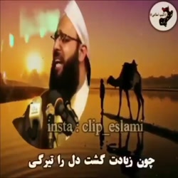 مولوی عبدالعلی خیرشاهی
