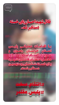 استوری دستگیری قاتل شهید احسان...