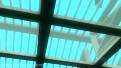 کارتون دختر کفشدوزکی گربه سیاه...