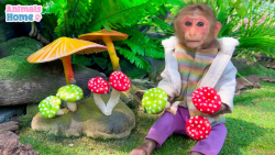 برنامه کودک بچه میمون | زنده م...