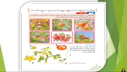 علوم چهارم دبستان گوناگونی گیاهان بخش دوم(آموزگار معصومه اکرمی)