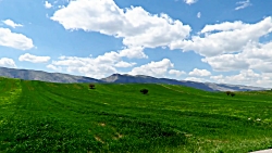 آهنگ کوردی کاله بی کالی