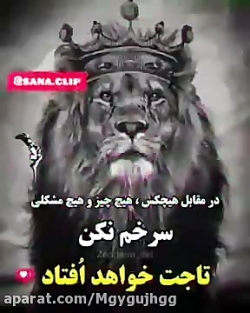 شیر درنده