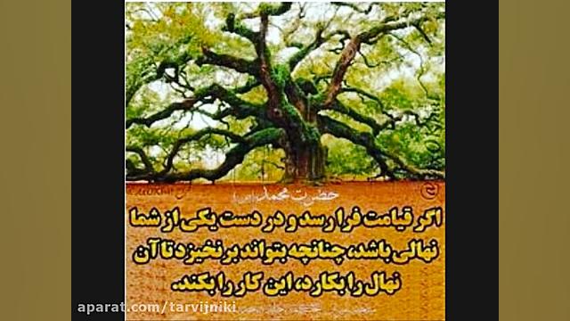 نجوا با حضرت مولا علیه السلام با نوای حاج منصور ارضی استفان کری