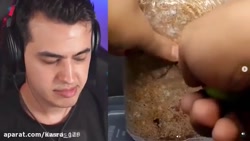 آریا کیوکسر