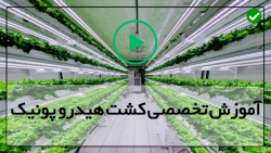 دانلود فیلم آموزش هیدروپونیک (...