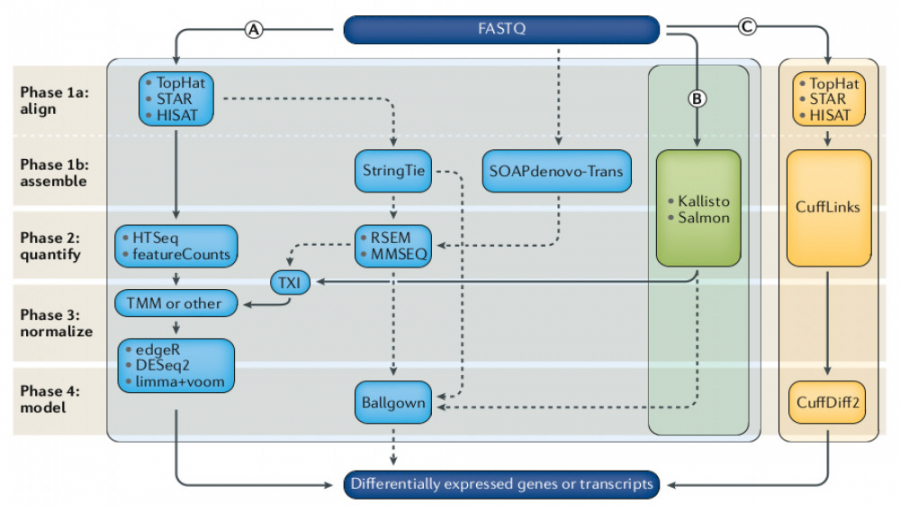 آنالیز RNA-Seq مد روز
