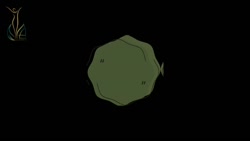 truncate dir-rtl