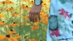 آهنگ شاد مخصوص تازه عروس ها (...