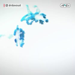 ️سکس با کیفیت با تخم کبوتر!