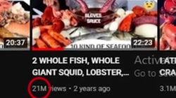 سعید والکور