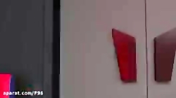 دختر کفشدوزکی و گربه سیاه