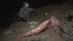 دست و پنجه نرم کردن با سفره&zw...