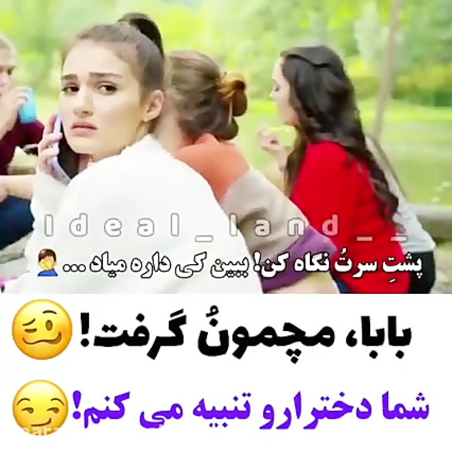 ستاره شمالی