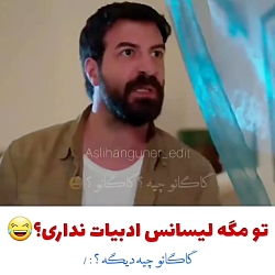 ستاره ی شمالی