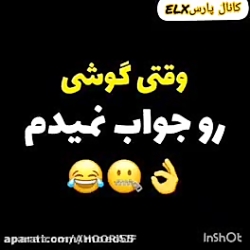 شوتی سوار