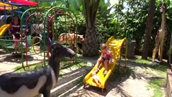 برنامه کودک ناستیا ناستیاشو سر...