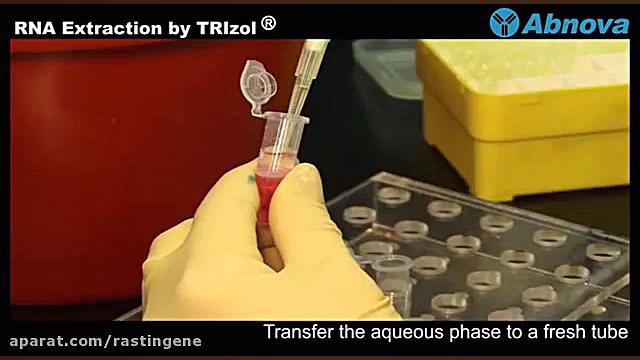 آموزش استخراج RNA با TRizol- شرکت راستین ژن لیزر صورت