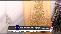 هزار روستا برای اجرای طرح های اشتغال زا و صفر کردن بیکاری در آنها، انتخاب شدند هزار روستا برای اجرای طرح های اشتغال زا و صفر کردن بیکاری در آنها، انتخاب شدند