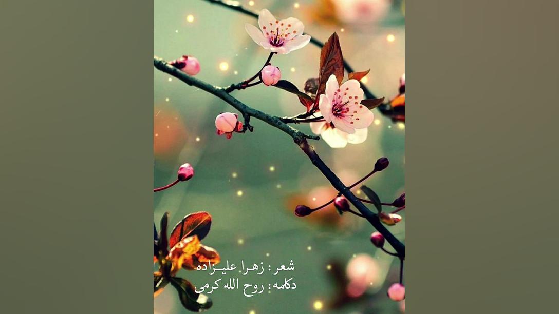 سال نو مبارک - نوروز ۱۴۰۱ زهرا علیزاده