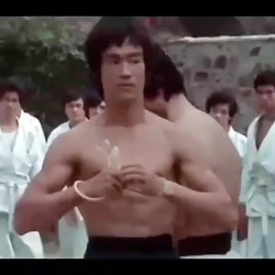 باتیستا من را دونبال کن من را