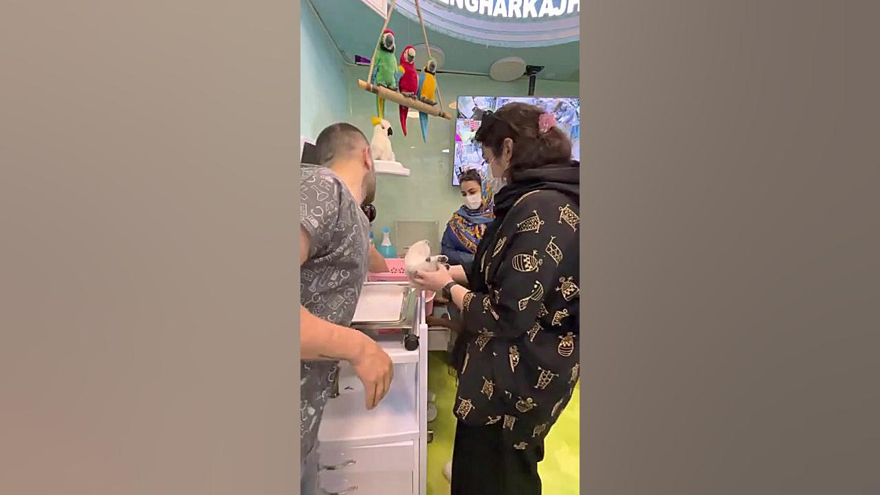قفس و لوازم جانبی پرندگان زینتی 09122430306