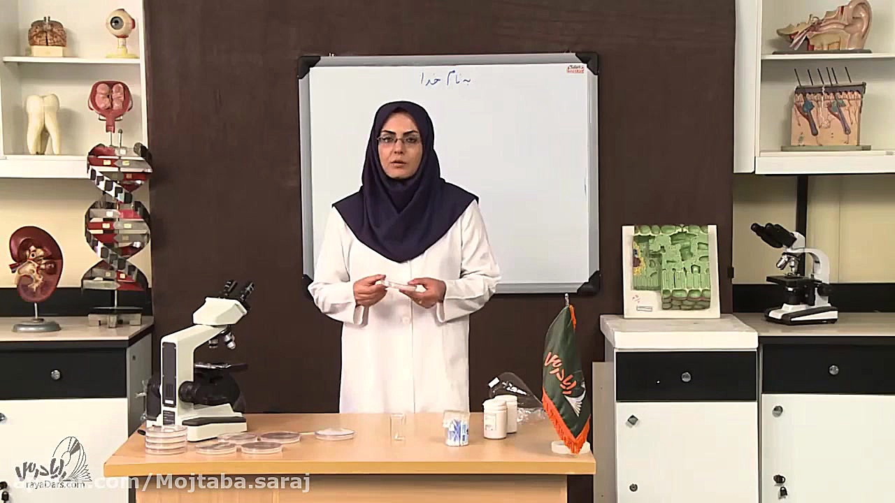 درس آزمایشگاه 2 پایه 11 - فصل 3 - آزمایش 11) کشت باکتری‌های دهان و سطح پوست روکش دندان