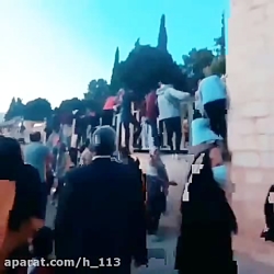 ورود عجیب بازدیدکنندگان به حافظیه شیراز